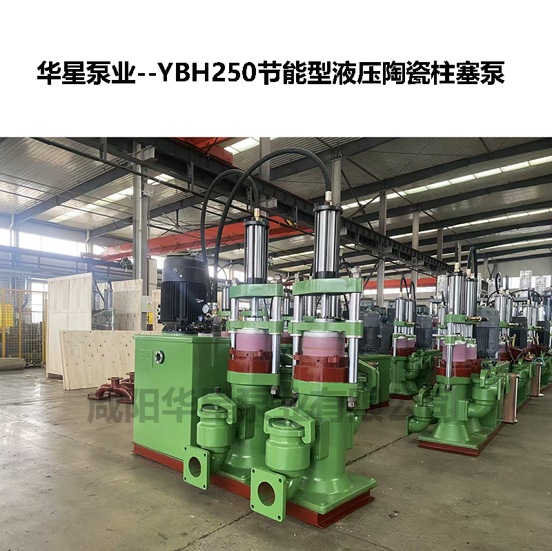 化工業(yè)污水處理壓濾機(jī)專(zhuān)用柱塞泵